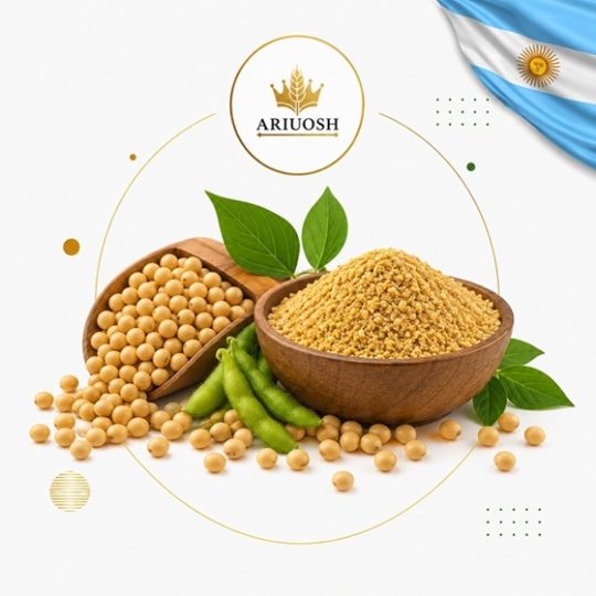 کنجاله سویا آرژانتین